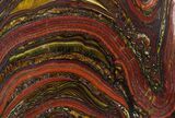 Polished Tiger Iron Stromatolite - ( Billion Years) #62774-1